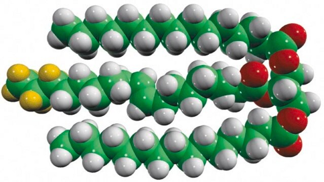 15:0-18:1-d7-15:0 TG Avanti Polar Lipids 791648C