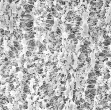 PTFE-Membranfilter, Porengröße 0,45&nbsp;&#956;m Millipore, filter diam. 13&#160;mm, hydrophilic