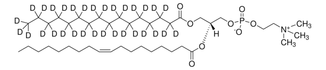 16:0-d31-18:1 PC 1-palmitoyl-d31-2-oleoyl-sn-glycero-3-phosphocholine, powder