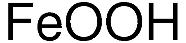 氢氧化氧铁 aqueous nanoparticle dispersion, &lt;5&#160;nm (DLS), 20% solids by weight, pH ~3, 99.5% trace metals basis