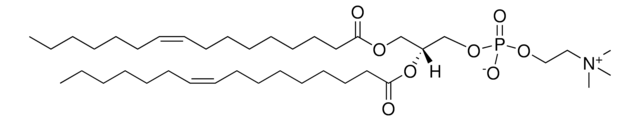 16:1 (&#916;9-Cis) PC 1,2-dipalmitoleoyl-sn-glycero-3-phosphocholine, powder