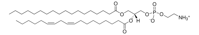 Egg PE Avanti Polar Lipids 840021P