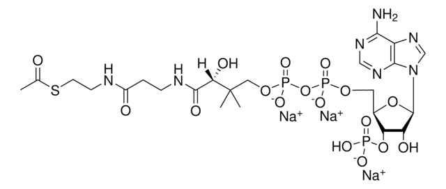 02:0 Coenzyme A Avanti Polar Lipids 870702P, powder