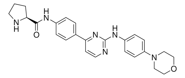 XL019 &#8805;98% (HPLC)