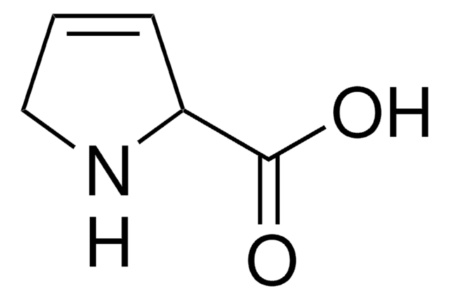 3,4-Dehydro-DL-Prolin 98%