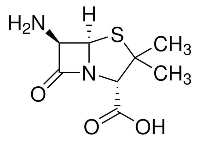 (+)-6-Aminopenicillansäure 96%