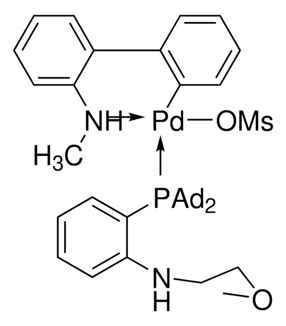 MorDalPhos Pd G4 ChemBeads