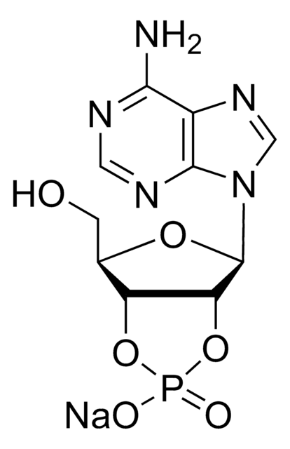 Adenosin-2&#8242;:3&#8242;-zyklisches Monophosphat Natriumsalz &#8805;93%