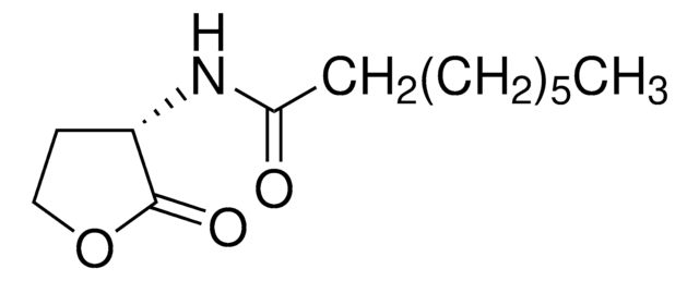 N -辛酰- L -高丝氨酸内酯 (S)-N-(2-Oxotetrahydrofuran-3-yl)octanamide, powder