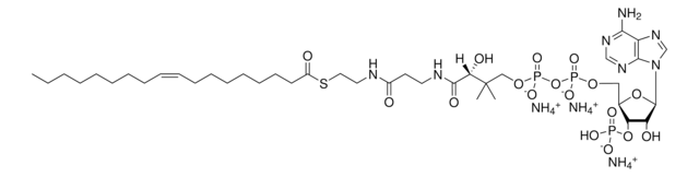 18:1 (n9) Coenzyme A Avanti Research&#8482; - A Croda Brand 870719P, powder