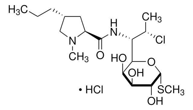 Clindamycin -hydrochlorid lincosamide antibiotic