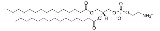 15:0 PE 1,2-dipentadecanoyl-sn-glycero-3-phosphoethanolamine, powder