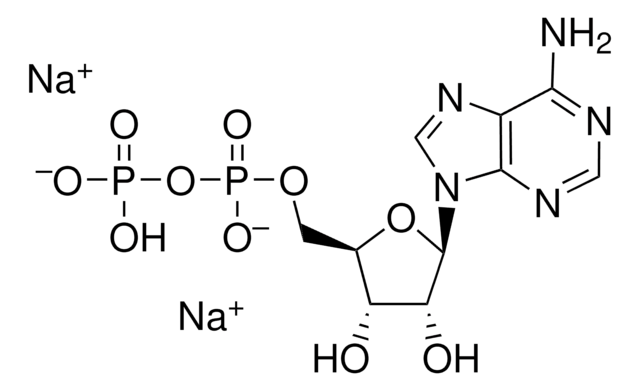 腺苷-5'-二磷酸 二钠盐 &#8805;90%