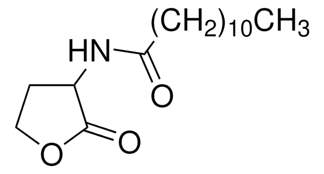 N-ドデカノイル-DL-ホモセリンラクトン &#8805;97.0% (HPLC)