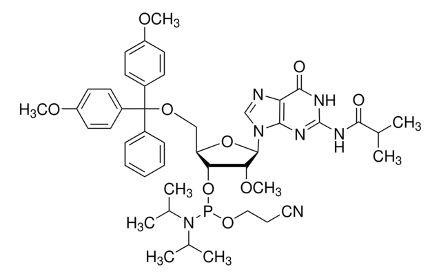 DMT-2&#8242;O-Methyl-rG(ib)-Phosphoramidit configured for MerMade