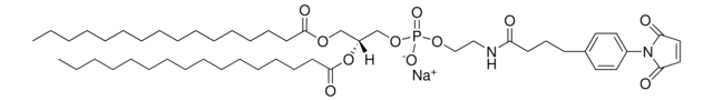 16:0 MPB PE Avanti Research&#8482; - A Croda Brand 870013P, powder