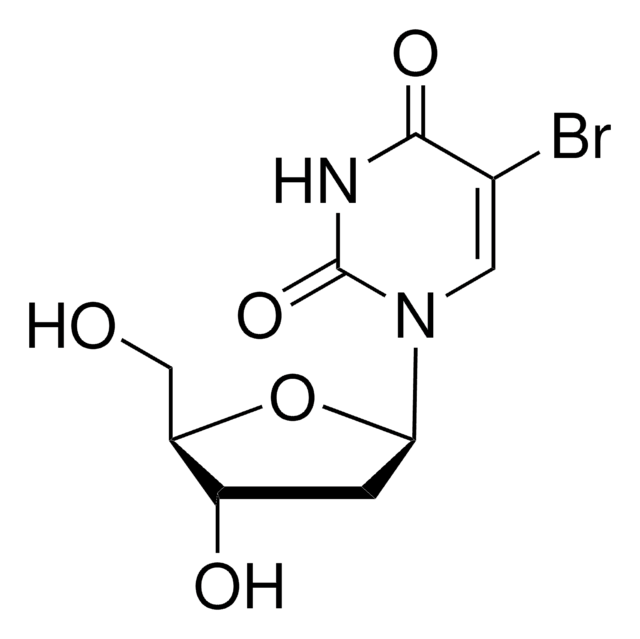 5-Bromo-2&#8242;-deoxyuridine Thymidine analog. Useful for the study of DNA synthesis where it is incorporated into DNA in place of thymidine.