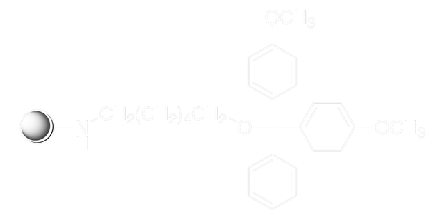 氨基取代的寡核苷酸 pore size 1000&#160;Å, 25-35&#956;mol/g