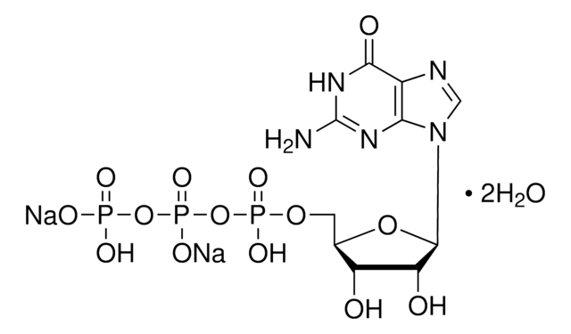 Guanosin-5&#8242;-triphosphat Natriumsalz Hydrat &#8805;90% (HPLC)