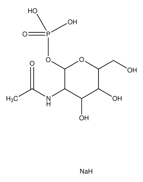 N-乙酰-&#945;-D-氨基葡萄糖1-磷酸 二钠盐 &#8805;95% (TLC)