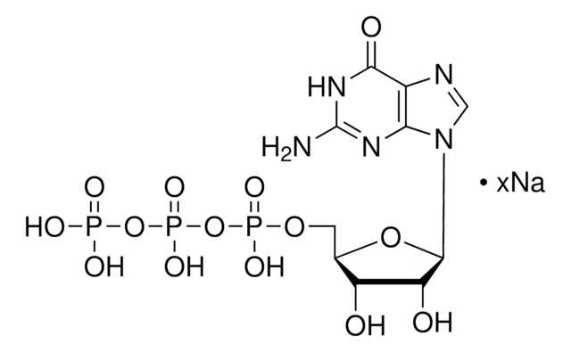 Guanosina 5&#8242;-trifosfato sodium salt hydrate &#8805;95% (HPLC), powder