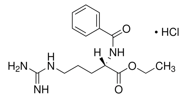 N&#945;-ベンゾイル-L-アルギニンエチルエステル 塩酸塩 trypsin substrate