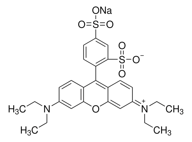 Sulforhodamin B Mononatriumsalz Dye content 75&#160;%