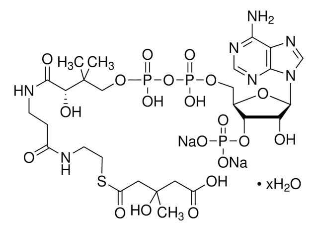 DL -3-羟基-3-甲基戊二酰辅酶 A 钠盐 水合物 &#8805;90% (HPLC)