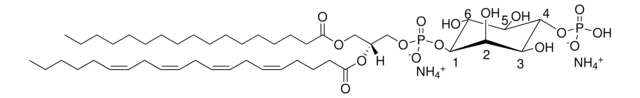 17:0-20:4 PI(4)P Avanti Research&#8482; - A Croda Brand LM1901, powder