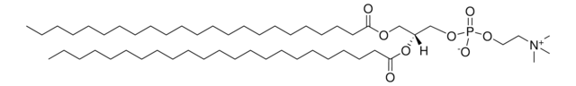 23:0 PC 1,2-ditricosanoyl-sn-glycero-3-phosphocholine, powder