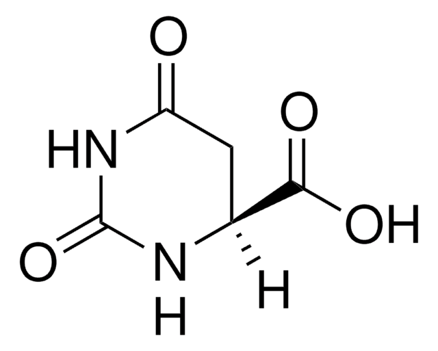 L-ジヒドロオロチン酸 &#8805;99%