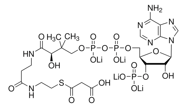 丙二酰胺辅酶A 四锂盐 &#8805;90% (HPLC)