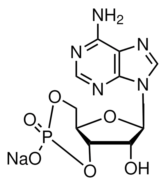 (&#8722;)-アデノシン3′5′-サイクリック一リン酸 ナトリウム塩 一水和物 &#8805;98.0% (HPLC), powder