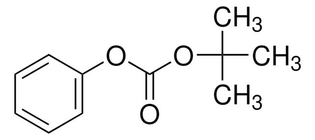 叔丁基苯基碳酸酯 98%