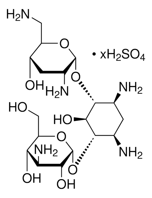 トブラマイシン 硫酸塩 aminoglycoside antibiotic