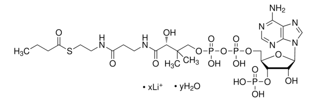 Butyryl-Coenzym&#160;A Lithiumsalz Hydrat &#8805;90%