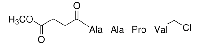 N-(Methoxysuccinyl)-Ala-Ala-Pro-Val-chloromethyl ketone elastase inhibitor