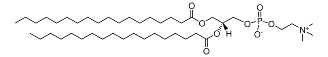 1,2-Distearoyl-sn-Glycero-3-Phosphocholin &#8805;99%