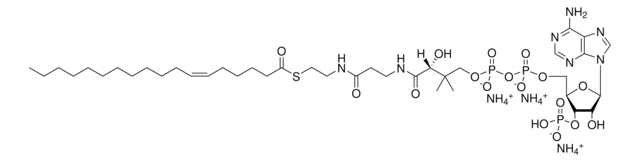 18:1 (n12) Coenzyme A Avanti Research&#8482; - A Croda Brand 870731P, powder