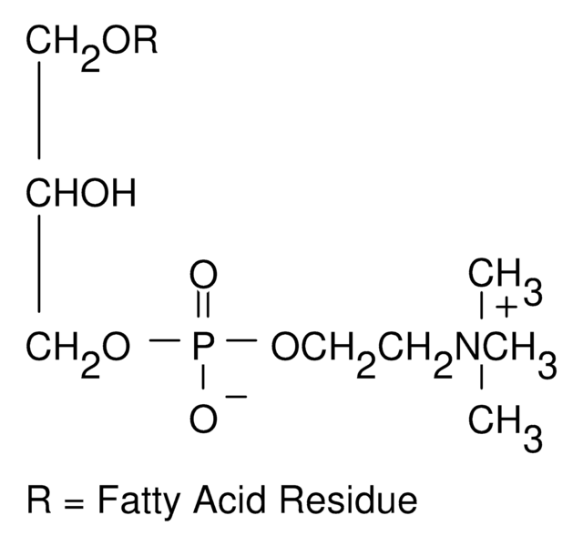 L-&#945;-Lysophosphatidylcholine from egg yolk &#8805;99%, Type I, powder