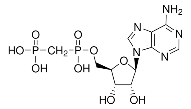 アデノシン 5&#8242;-(&#945;,&#946;-メチレン)二リン酸 ADP analog