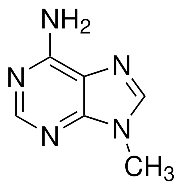 9-Methyladenin 97%