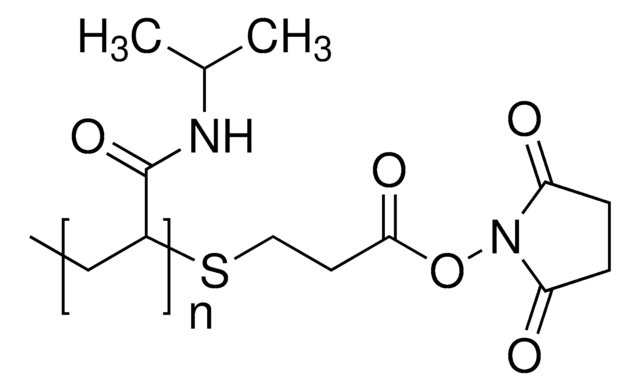 Poly(N-Isopropylacrylamid), N-Hydroxysuccinimid (NHS)-Ester-Endgruppen average Mn 2,000