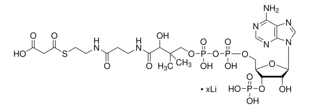 マロニルコエンザイムA リチウム塩 &#8805;90% (HPLC)