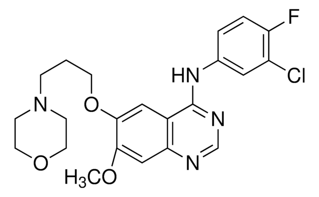 Gefitinib für die Systemeignung European Pharmacopoeia (EP) Reference Standard