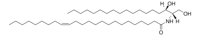 C24:1 Dihydroceramide (d18:0/24:1(15Z)) Avanti Research&#8482; - A Croda Brand 860629P, powder