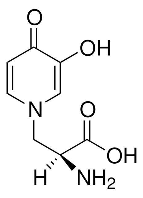 L-Mimosin aus Koa hoale seeds &#8805;98%