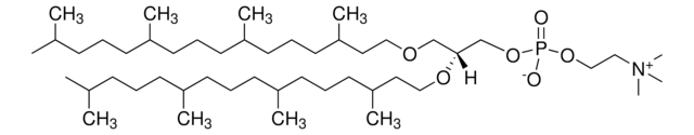 4ME 16:0 二醚PC Avanti Research&#8482; - A Croda Brand 999984P, powder