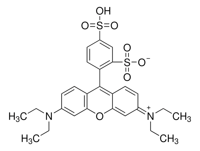 Sulforhodamin B, Säureform Dye content 95&#160;%