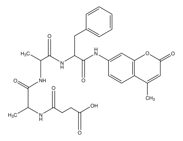 N-サクシニル-Ala-Ala-Phe-7-アミド-4-メチルクマリン protease substrate